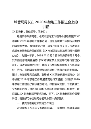 城管局局长在2020年禁炮工作推进会上的讲话