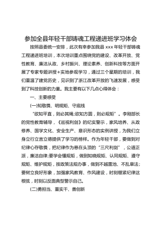 参加年轻干部铸魂培训学习体会