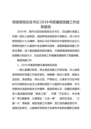 财政局党总支书记2019年抓基层党建工作述职报告