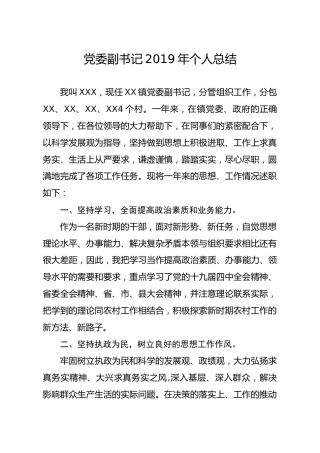 笔友分享党委副书记2019年个人总结