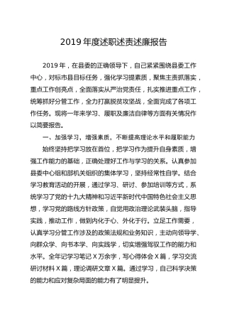 笔友分享2019年度述职述责述廉报告
