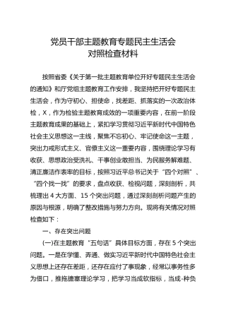 20191213笔友分享党员干部主题教育专题民主生活会对照检查材料