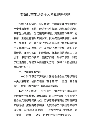 20191208笔友分享专题民主生活会个人检视剖析材料