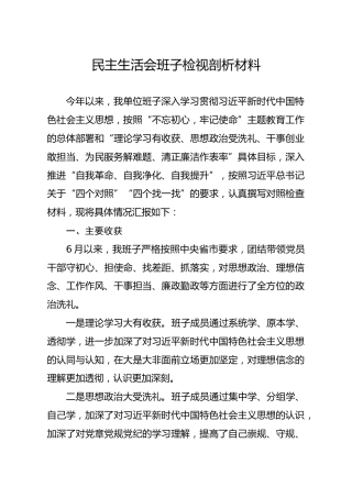 20191208笔友分享民主生活会班子检视剖析材料