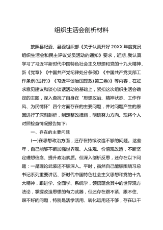 20191205笔友分享组织生活会剖析材料