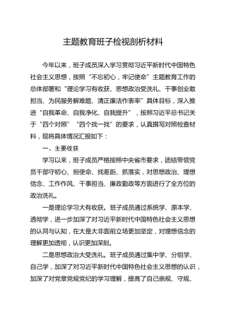 20191204笔友分享主题教育班子检视剖析材料