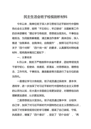 20191203笔友分享民主生活会班子检视剖析材料