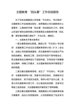 20191202笔友分享主题教育回头看工作总结报告