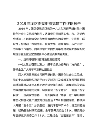 2019年团区委党组抓党建工作述职报告