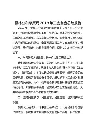 2019年工会自查总结报告