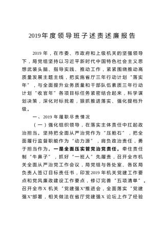 2019年度领导班子述责述廉报告（5300字）