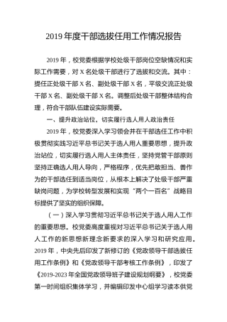 2019年度干部选拔任用工作情况报告（学校版）