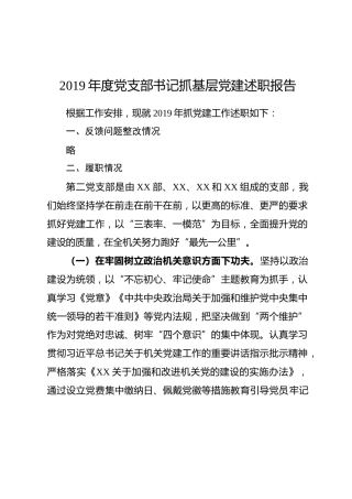 2019年度党支部书记抓基层党建述职报告（2500字）