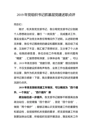 2019年党组织书记抓基层党建述职点评讲话
