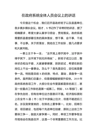 在政府系统全体人员会议上的讲话（8600字）