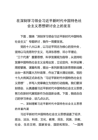 在深刻学习领会新时代中国特色社会主义思想研讨会上的交流发言（4000字）