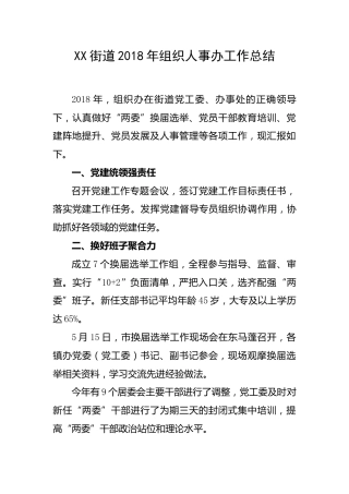 组织人事工作总结（乡镇街道）