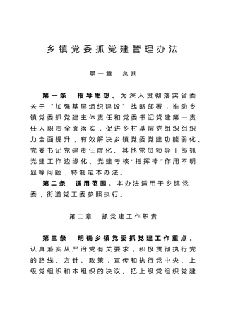 抓党建管理办法（乡镇版）