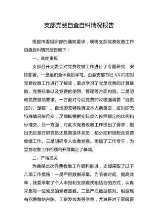 支部党费自查自纠情况报告