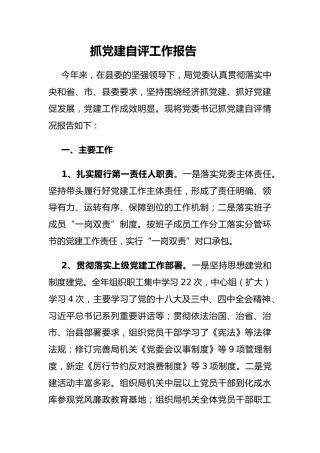 抓党建自评工作报告（简略版）