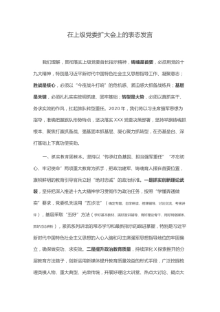 在上级党委扩大会上的表态发言（2300字）