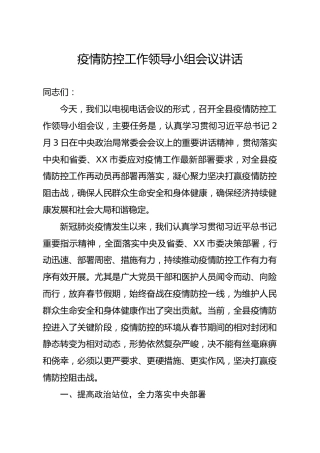 疫情防控工作领导小组会议讲话