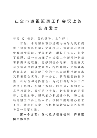 在全市巡视巡察工作会议上的交流发言（4400字）