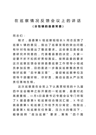 巡察情况反馈会领导讲话（3600字）