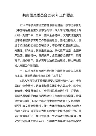 学校共青团2020年工作要点（4000字）
