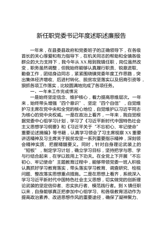 新任职党委书记述职述廉报告