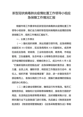 新冠肺炎疫情应急保障工作情况汇报