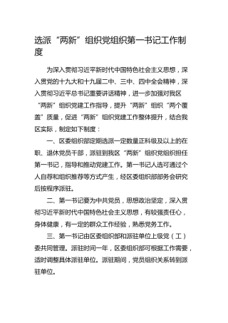 选派“两新”组织党组织第一书记工作制度