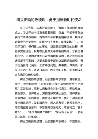 树立正确的政绩观，勇于担当新时代使命