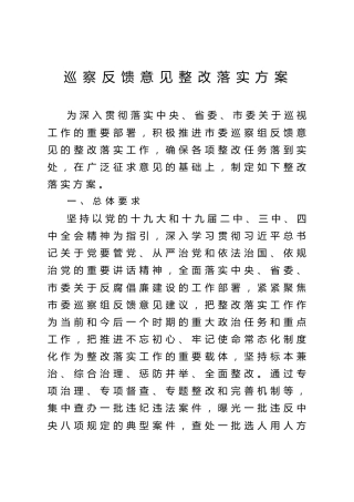 巡察反馈意见整改落实方案（6100字）