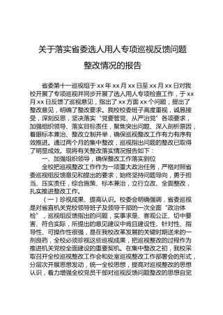 落实巡视组选人用人整改情况报告（8000字）