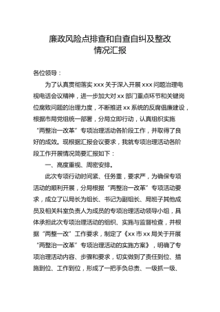 廉政风险点排查和自查自纠及整改情况汇报