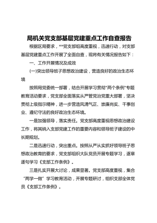 局机关党支部基层党建重点工作自查报告