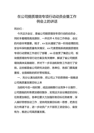 在公司提质增效专项行动动员会暨工作例会讲话（1万字）