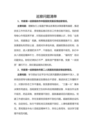 巡察组巡察问题清单（12个单位）