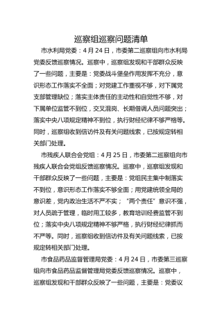 巡察组巡察单位问题清单