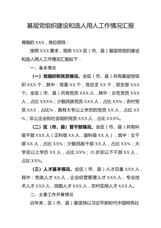 基层党组织建设和选人用人工作情况汇报（1万字）