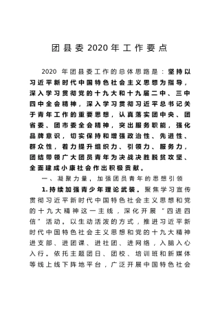 团县委2020年工作要点（2900字）
