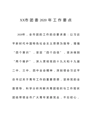 团委2020年工作要点（3600字）