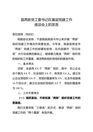 两新党工委书记在基层党建工作座谈会上的发言