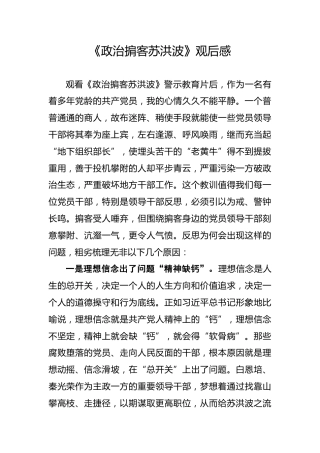 苏洪波观后感（2100字）