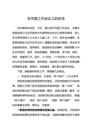 在市委工作会议上的讲话（7900字）