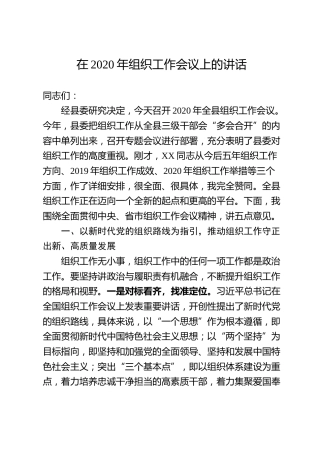 在2020年组织工作会议上的讲话（5600字）