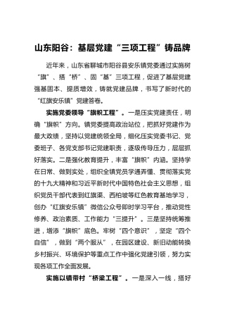 基层党建“三项工程”铸品牌