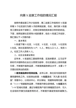 向巡察工作组的情况汇报（6000字）