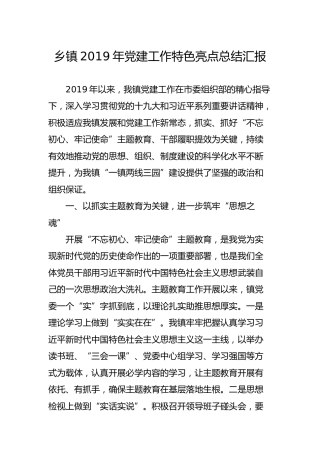 乡镇2019年党建工作特色亮点总结汇报_1